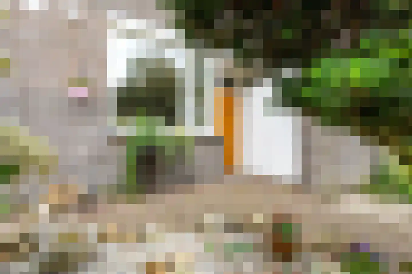 Martinusgaarde 30 Nieuwegein thumbnail 52