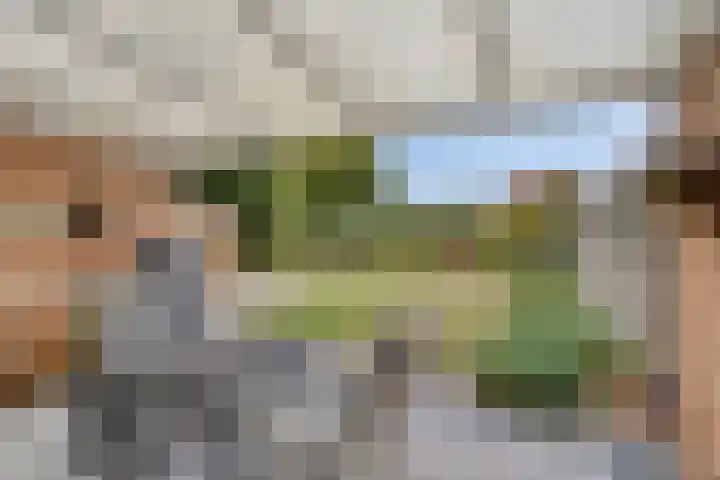 Martinushof 1 Born thumbnail 21