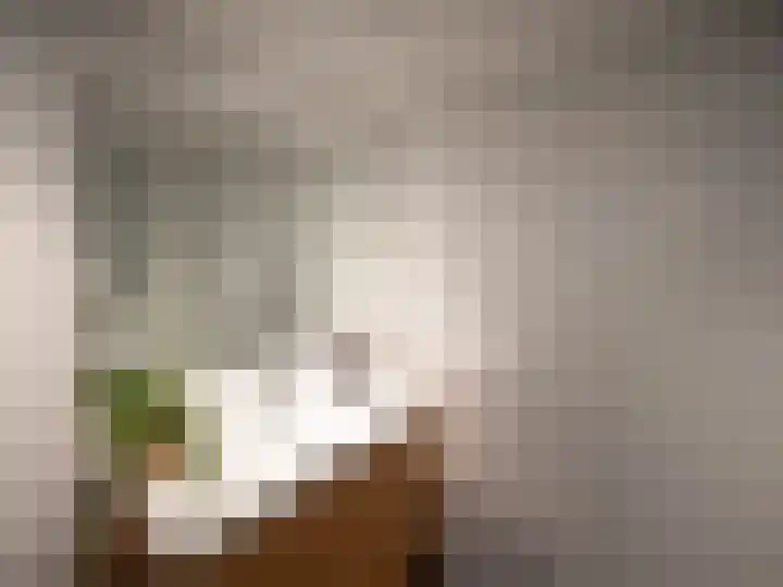 Martinushof 11 Born thumbnail 11