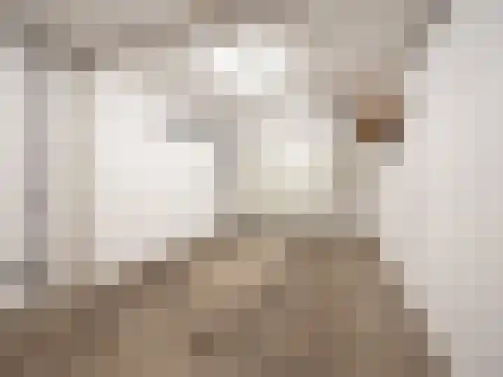 Martinushof 11 Born thumbnail 14