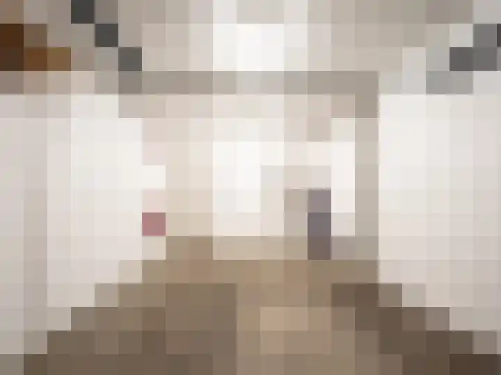 Martinushof 11 Born thumbnail 15