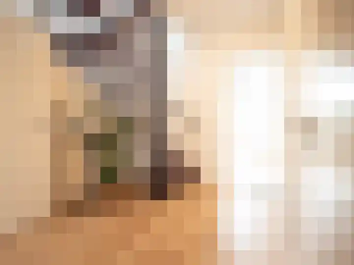 Martinushof 11 Born thumbnail 9