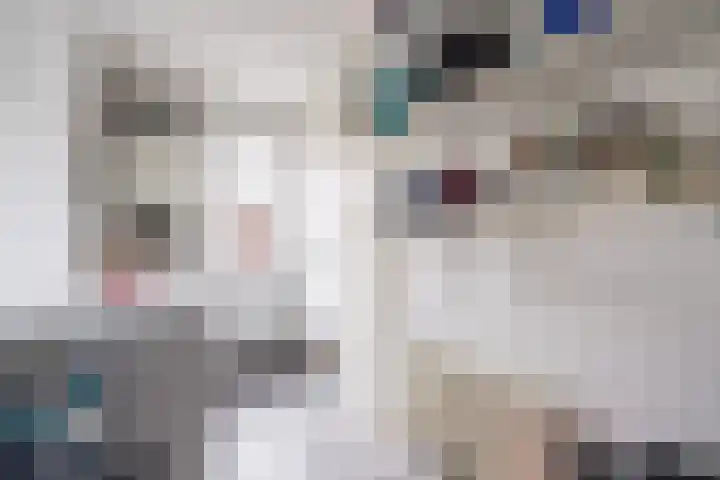 Martinushof 24 Weert thumbnail 14