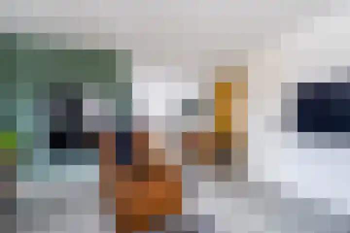 Martinushof 24 Weert thumbnail 6