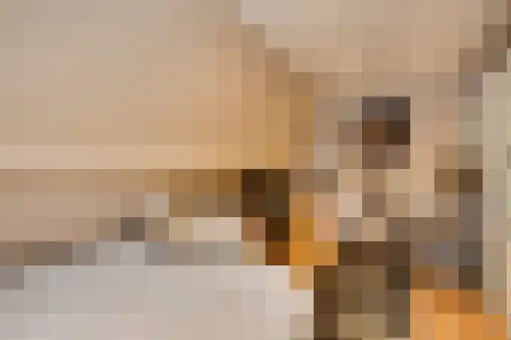 Martinushof 32 Weert thumbnail 29