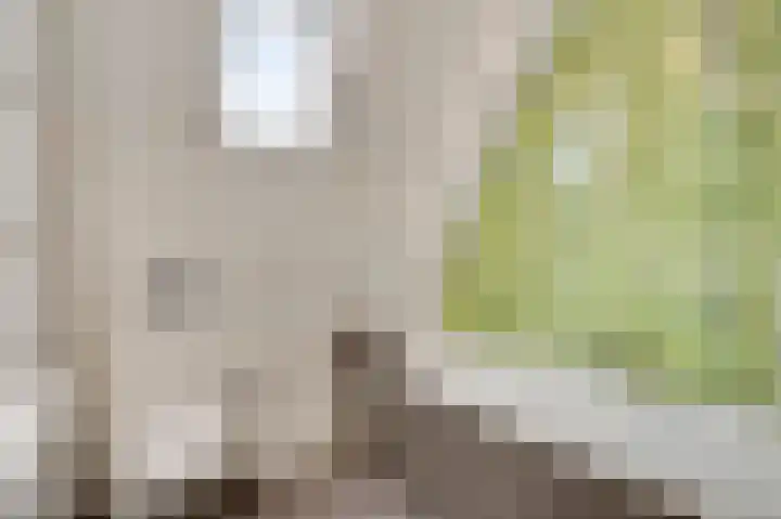 Martinushof 32 Weert thumbnail 5