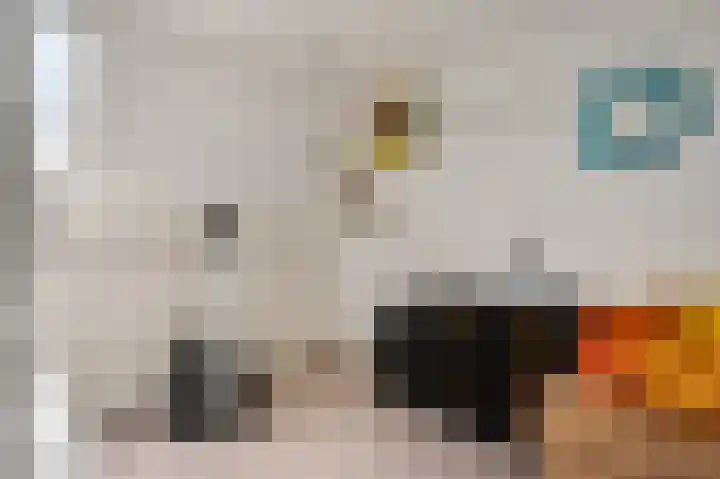 Martinushof 48 Weert thumbnail 22