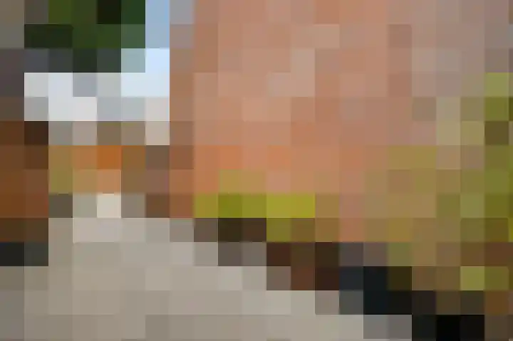 Martinushof 48 Weert thumbnail 25