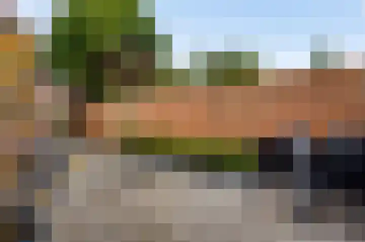 Martinushof 48 Weert thumbnail 26