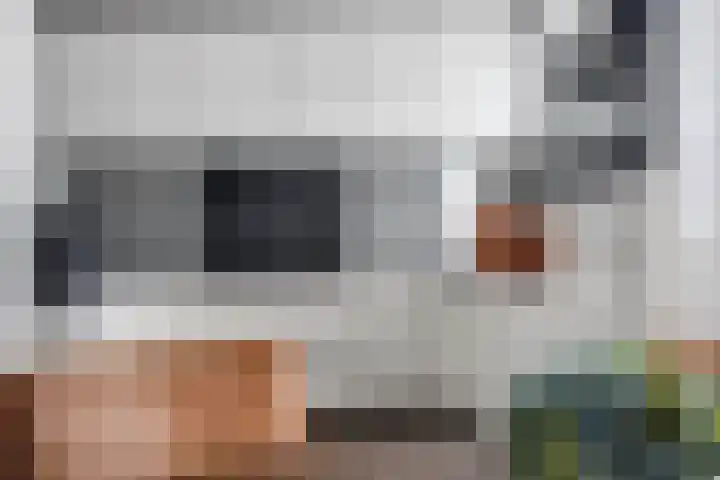Martinushof 5 Born thumbnail 10