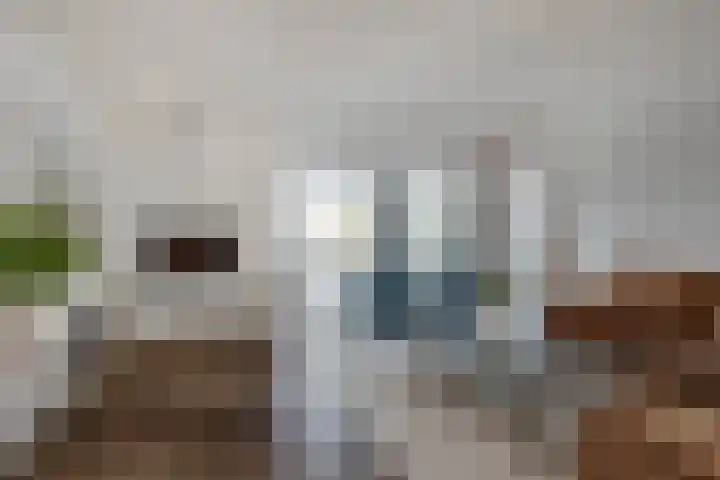 Martinushof 5 Born thumbnail 13