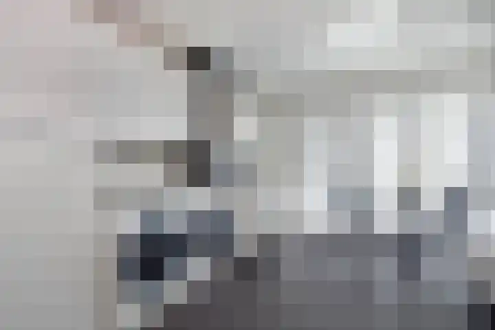Martinushof 5 Born thumbnail 19