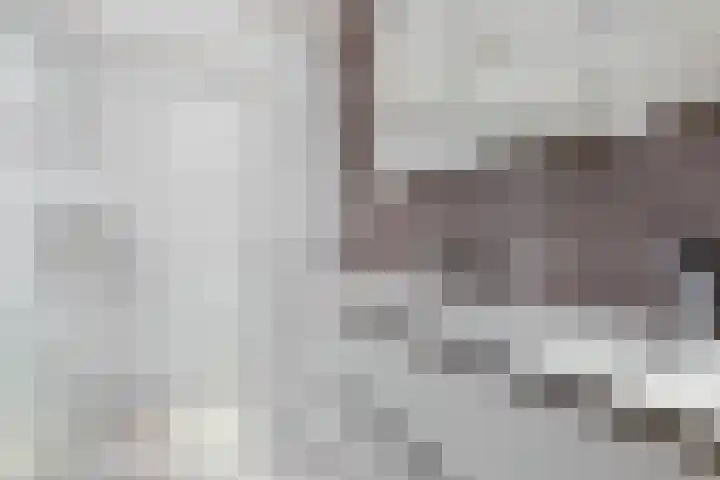 Martinushof 5 Born thumbnail 22