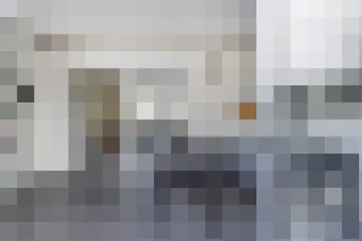 Martinushof 5 Born thumbnail 38