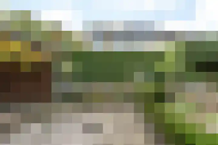 Martinusstraat 12 Munstergeleen thumbnail 17