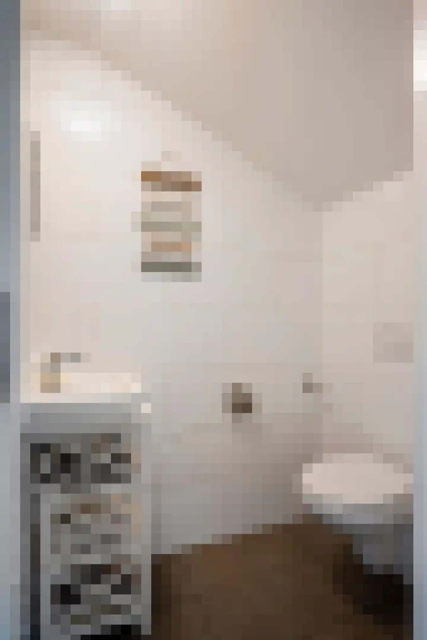 Martinusstraat 9 Holtum thumbnail 14