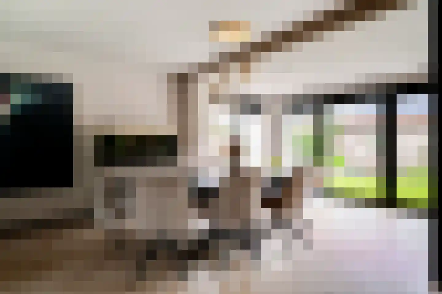 Martinusweg 1 A Zevenaar thumbnail 22