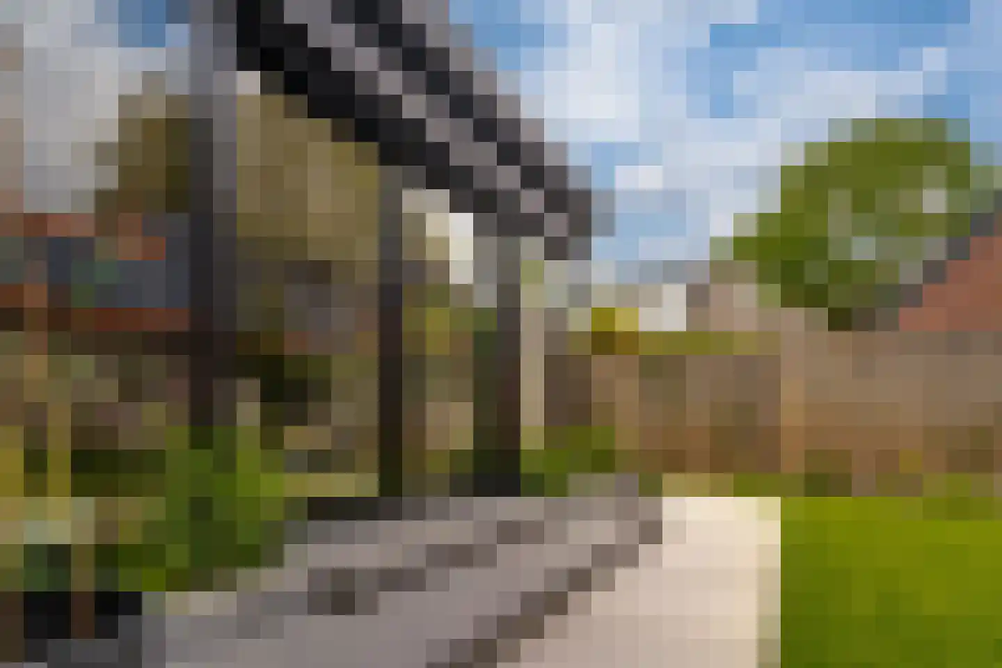 Martinusweg 1 A Zevenaar thumbnail 40