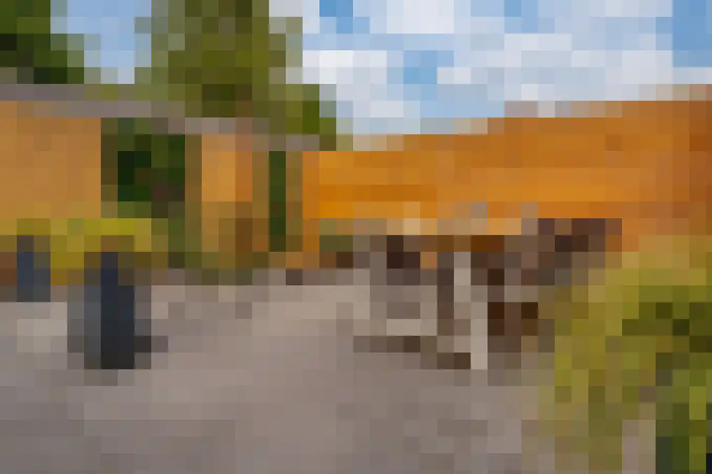 Martinusweg 1 A Zevenaar thumbnail 42
