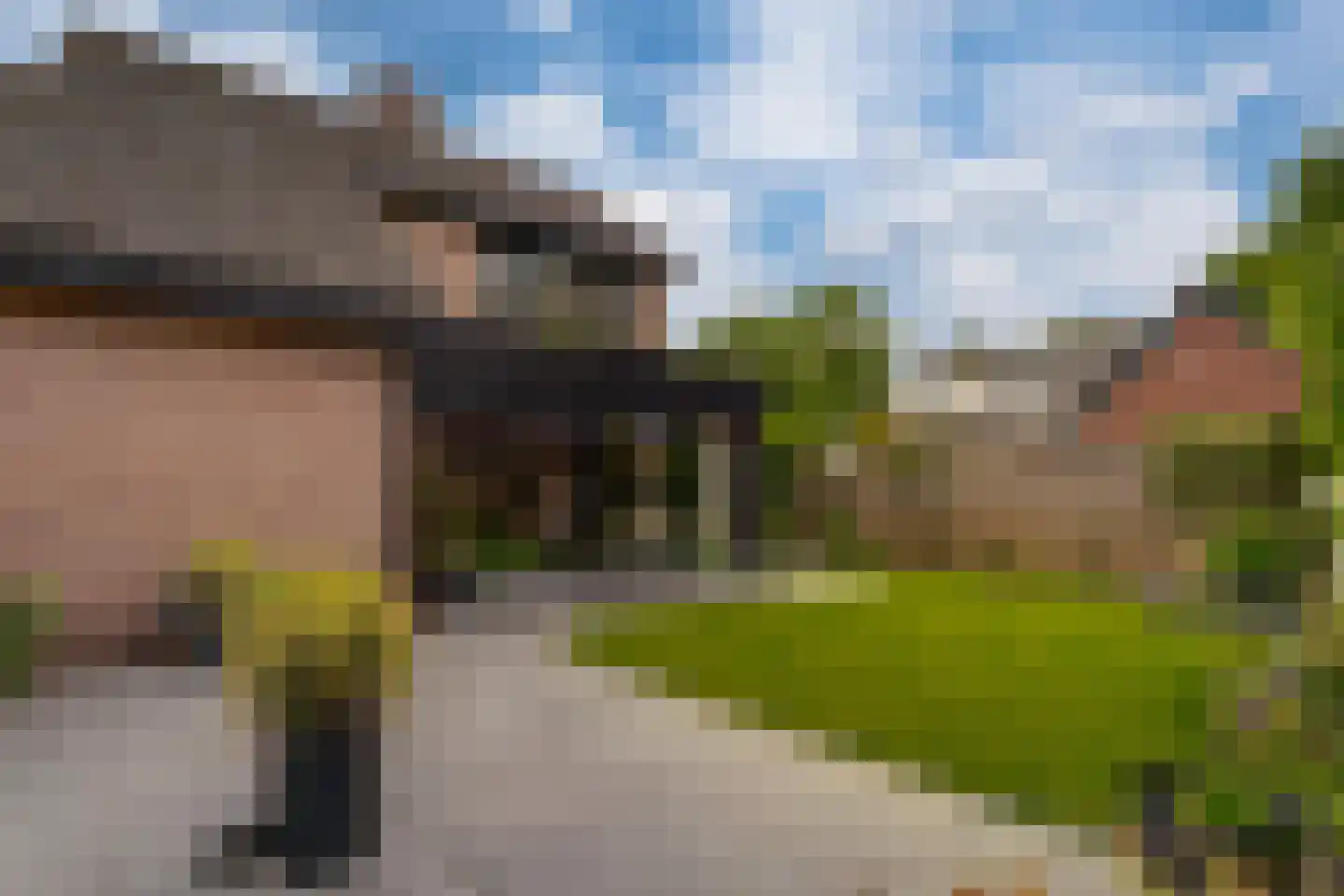 Martinusweg 1 A Zevenaar thumbnail 48
