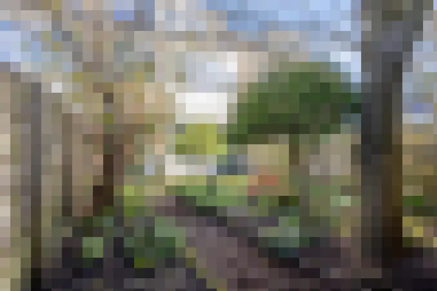 Marumplantsoen 3 Arnhem thumbnail 13