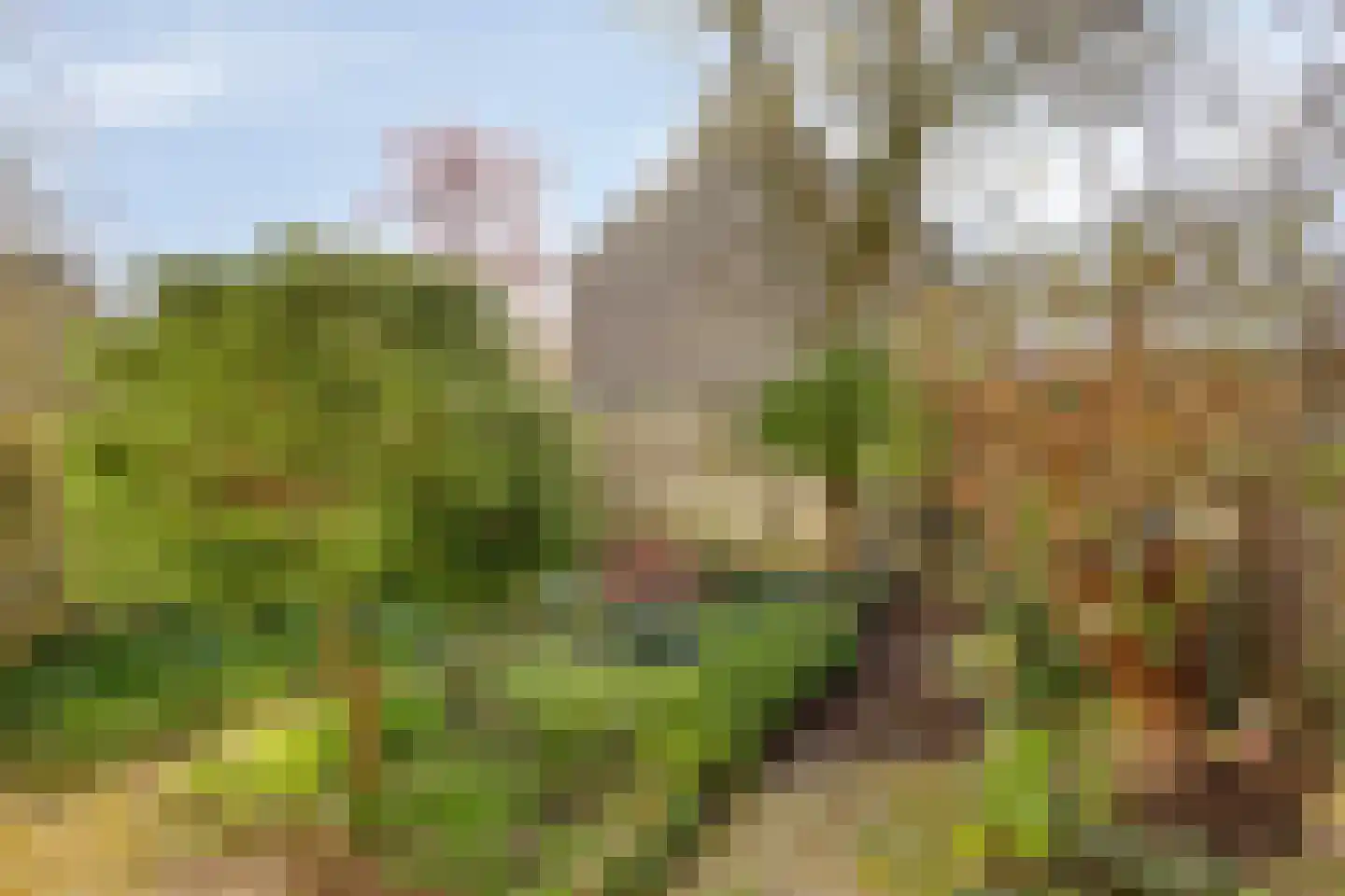 Marumplantsoen 3 Arnhem thumbnail 14