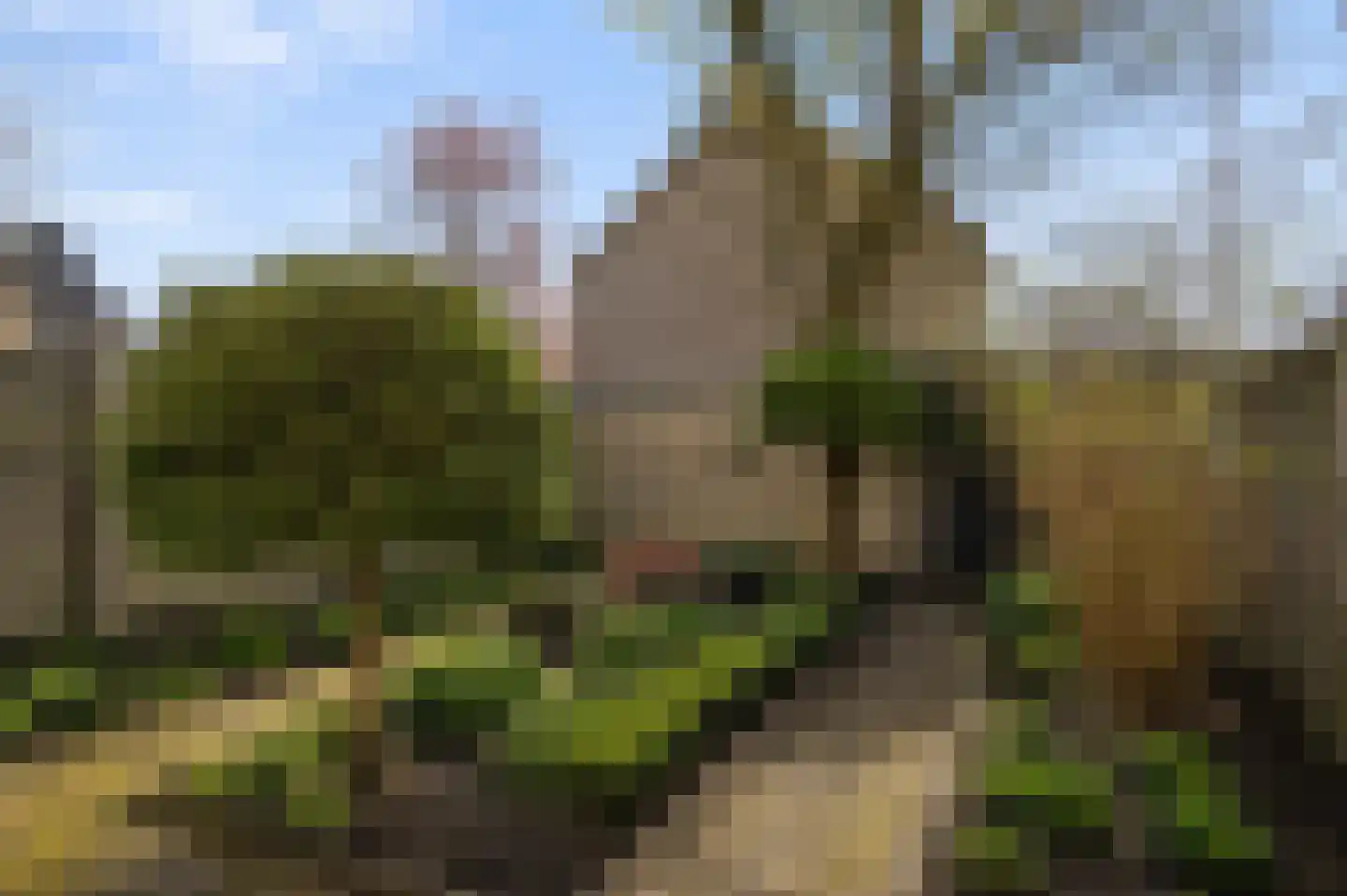 Marumplantsoen 3 Arnhem thumbnail 15