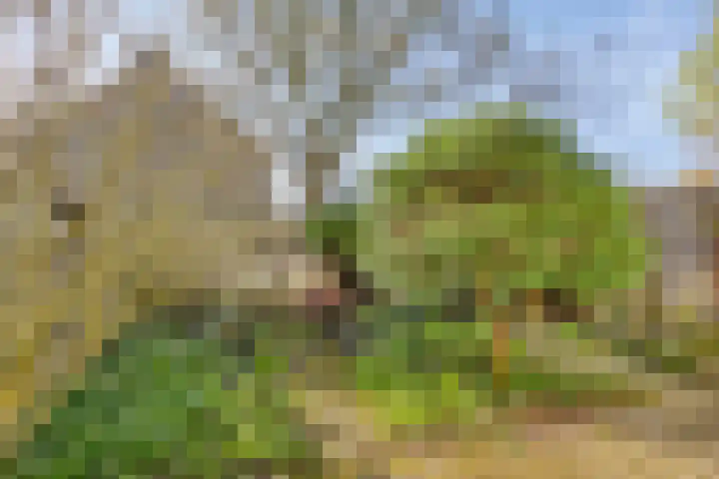 Marumplantsoen 3 Arnhem thumbnail 15
