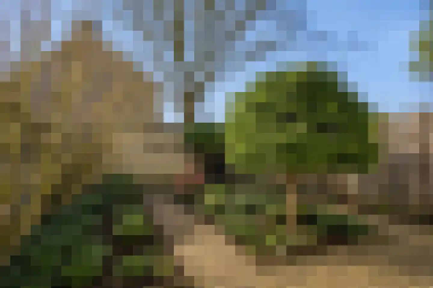 Marumplantsoen 3 Arnhem thumbnail 16