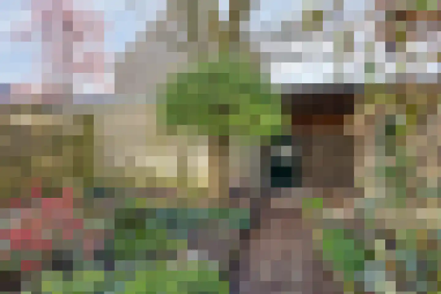 Marumplantsoen 3 Arnhem thumbnail 16