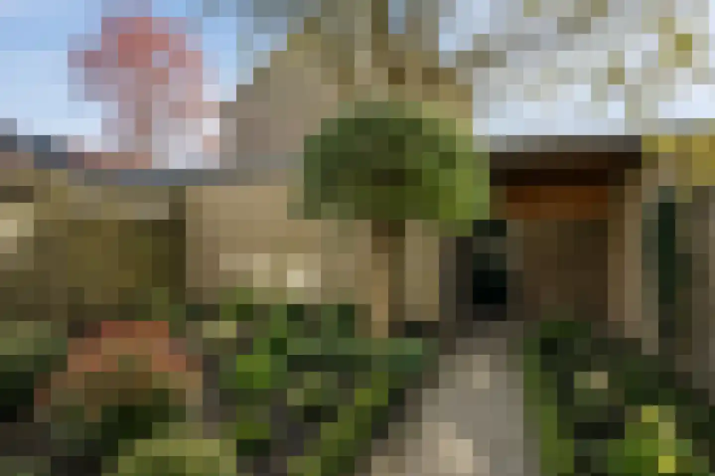 Marumplantsoen 3 Arnhem thumbnail 17
