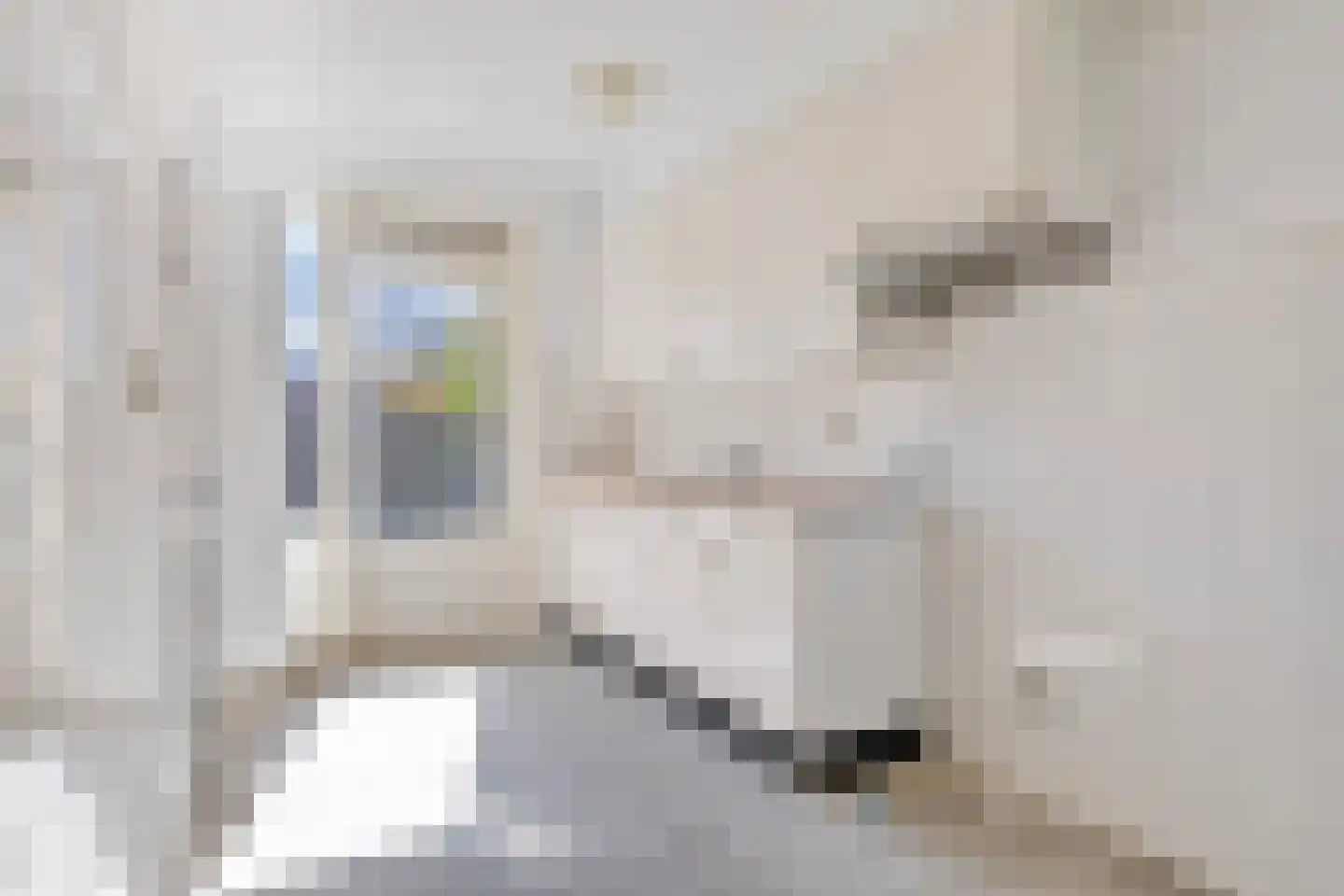 Marumplantsoen 7 Arnhem thumbnail 12