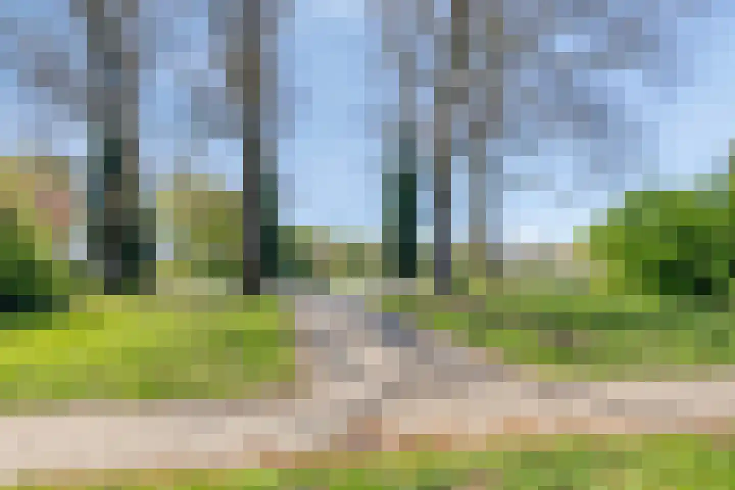 Marumplantsoen 7 Arnhem thumbnail 39