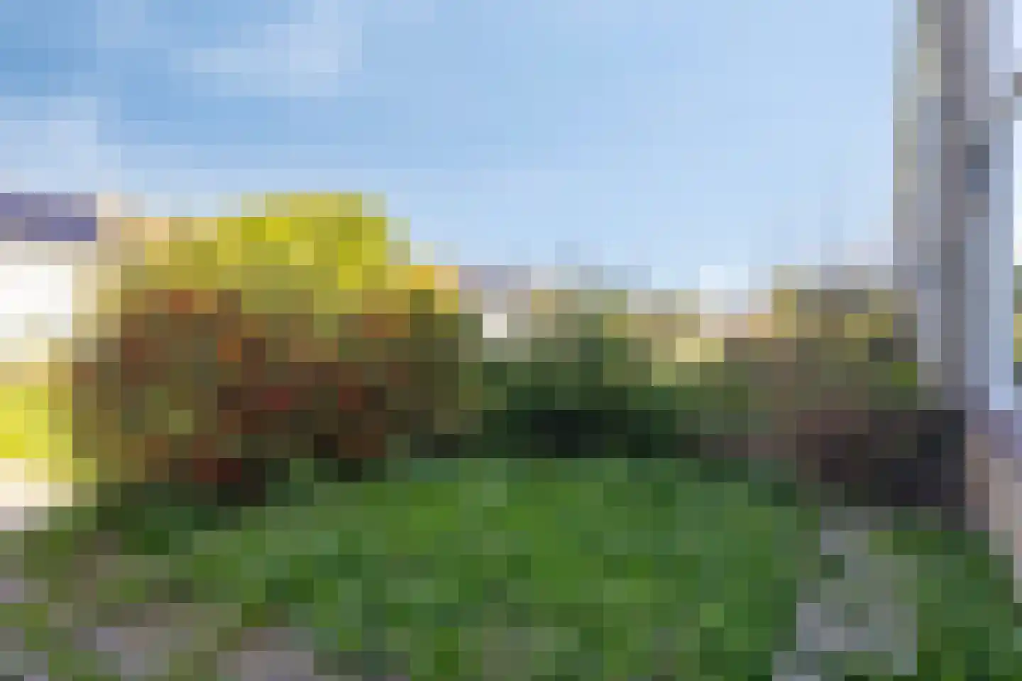 Marumplantsoen 7 Arnhem thumbnail 6
