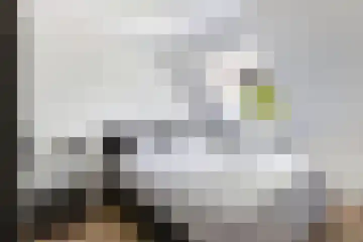 Marwei 102 Delfstrahuizen thumbnail 21