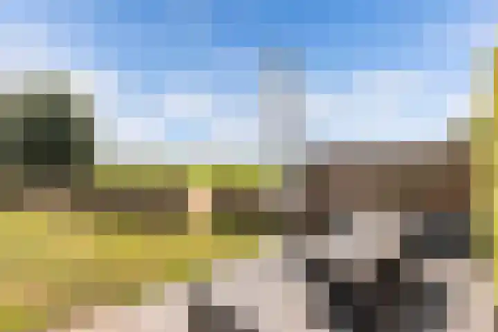 Marwei 102 Delfstrahuizen thumbnail 35