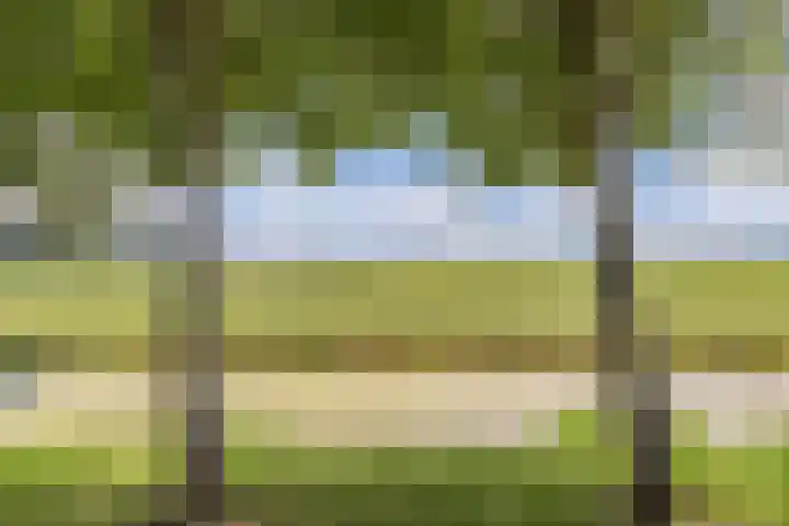 Marwei 102 Delfstrahuizen thumbnail 38