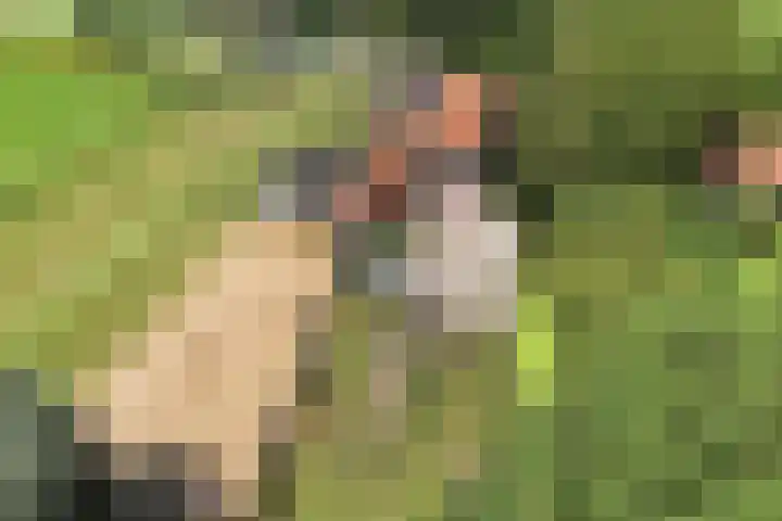 Marwei 102 Delfstrahuizen thumbnail 42