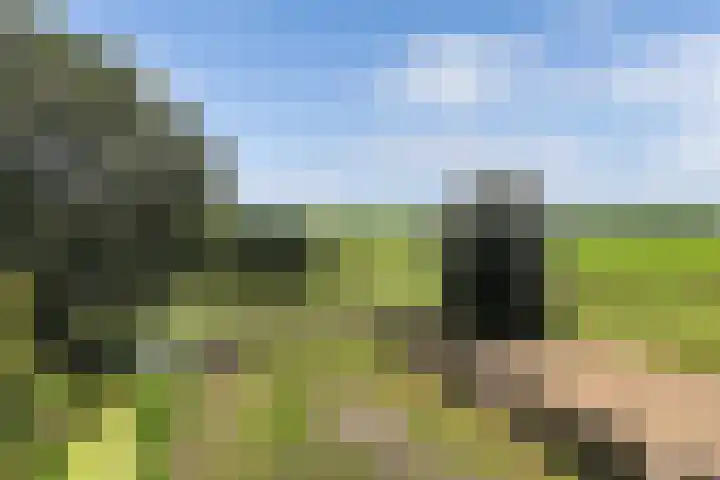 Marwei 102 Delfstrahuizen thumbnail 44