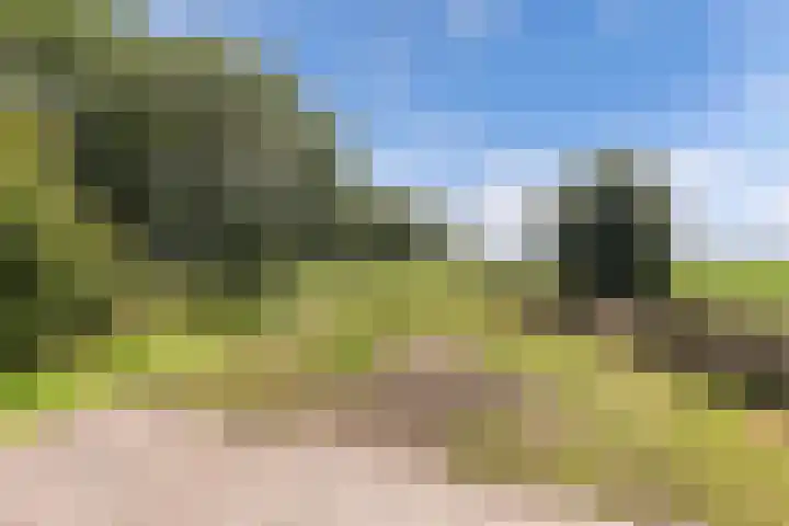 Marwei 102 Delfstrahuizen thumbnail 5