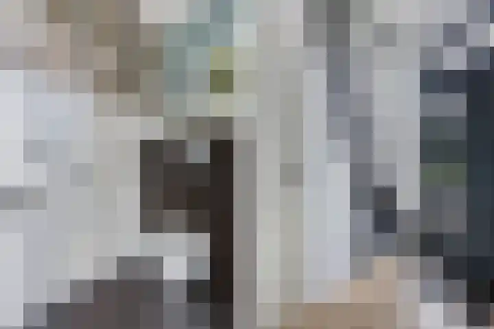 Marwei 102 Delfstrahuizen thumbnail 8