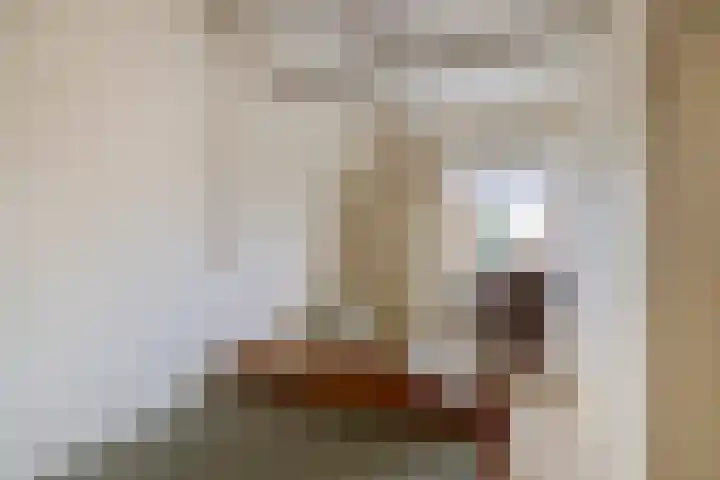 Marwei 15 Delfstrahuizen thumbnail 20