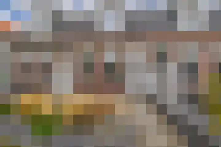 Marwei 15 Delfstrahuizen thumbnail 5