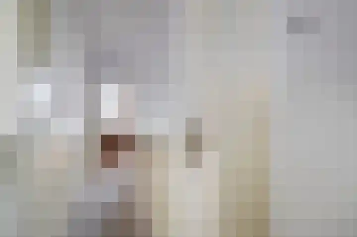 Marwei 15 Delfstrahuizen thumbnail 6