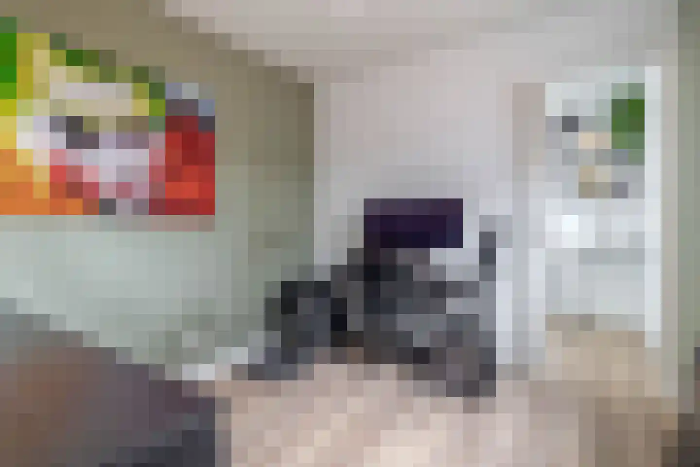 Marwei 37 Delfstrahuizen thumbnail 17