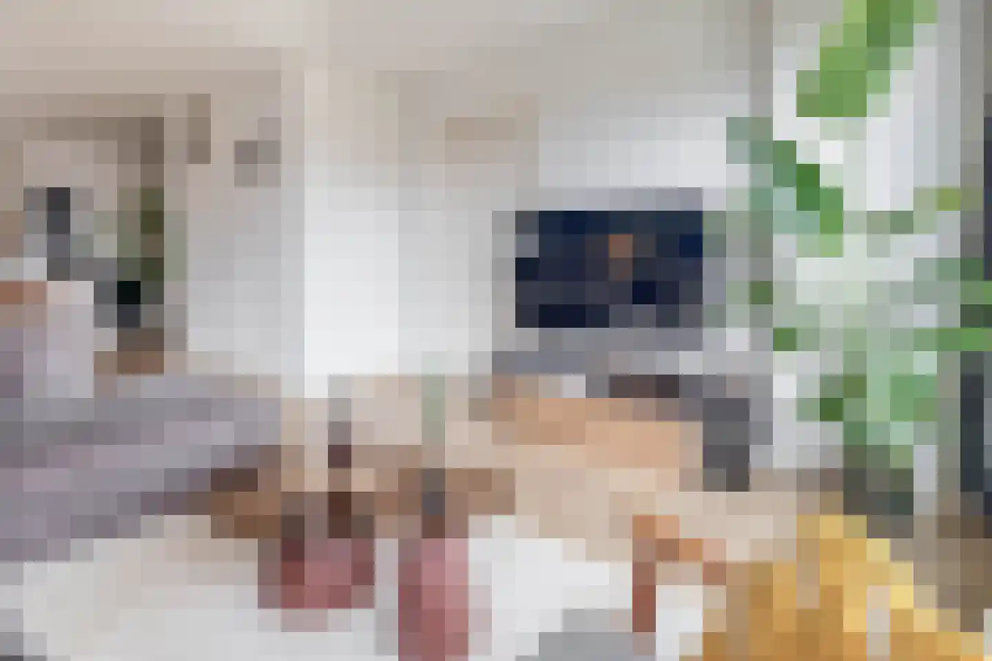 Marwei 37 Delfstrahuizen thumbnail 5