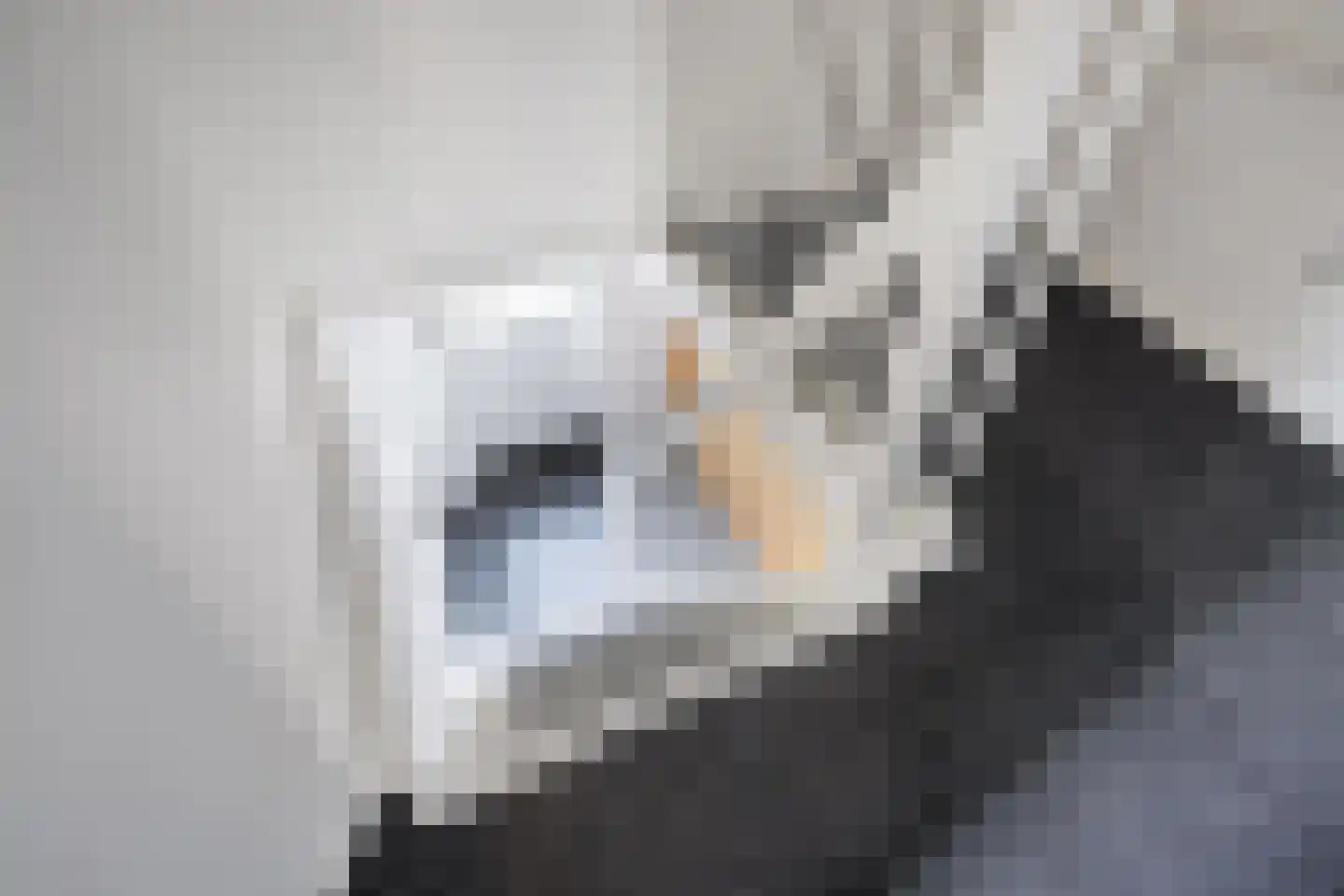 Marwei 4 Jistrum thumbnail 27