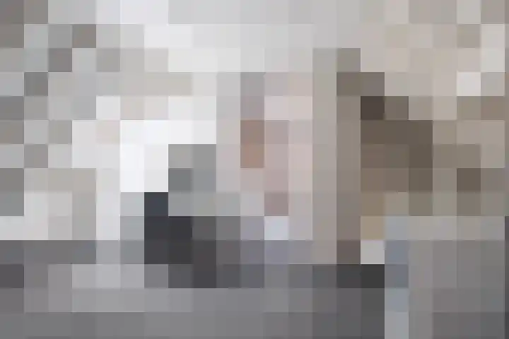 Marwei 4 Jistrum thumbnail 28