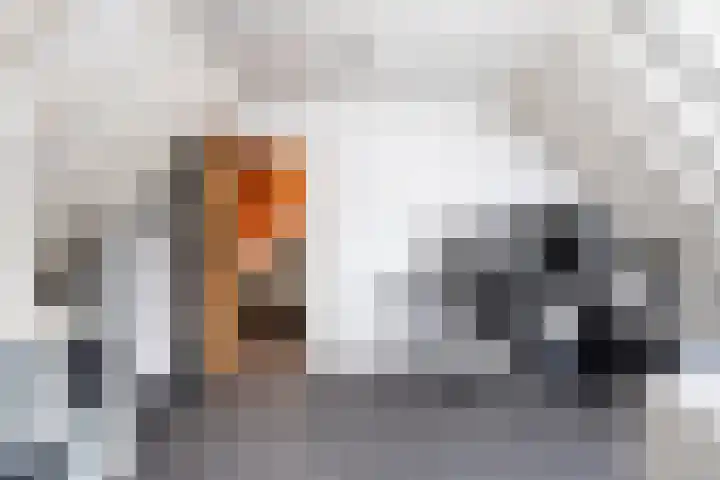 Marwei 4 Jistrum thumbnail 30