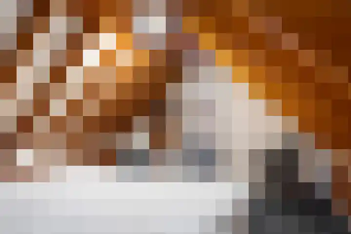 Marwei 4 Jistrum thumbnail 32